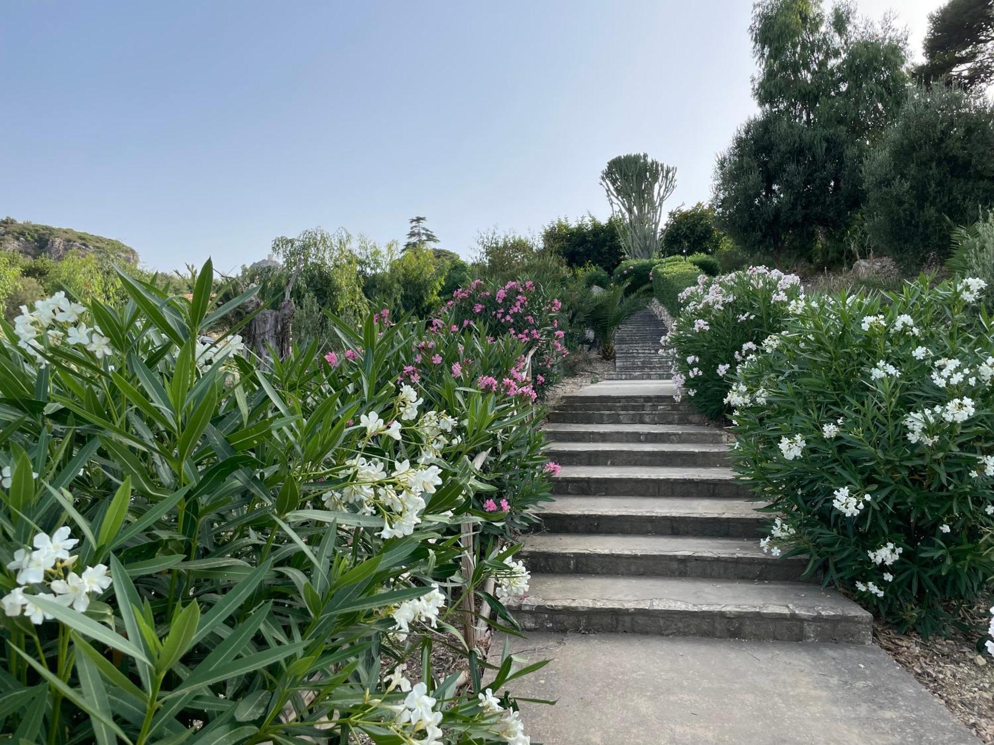 Villa Hibiscus Scopello Scopello  Exterior photo