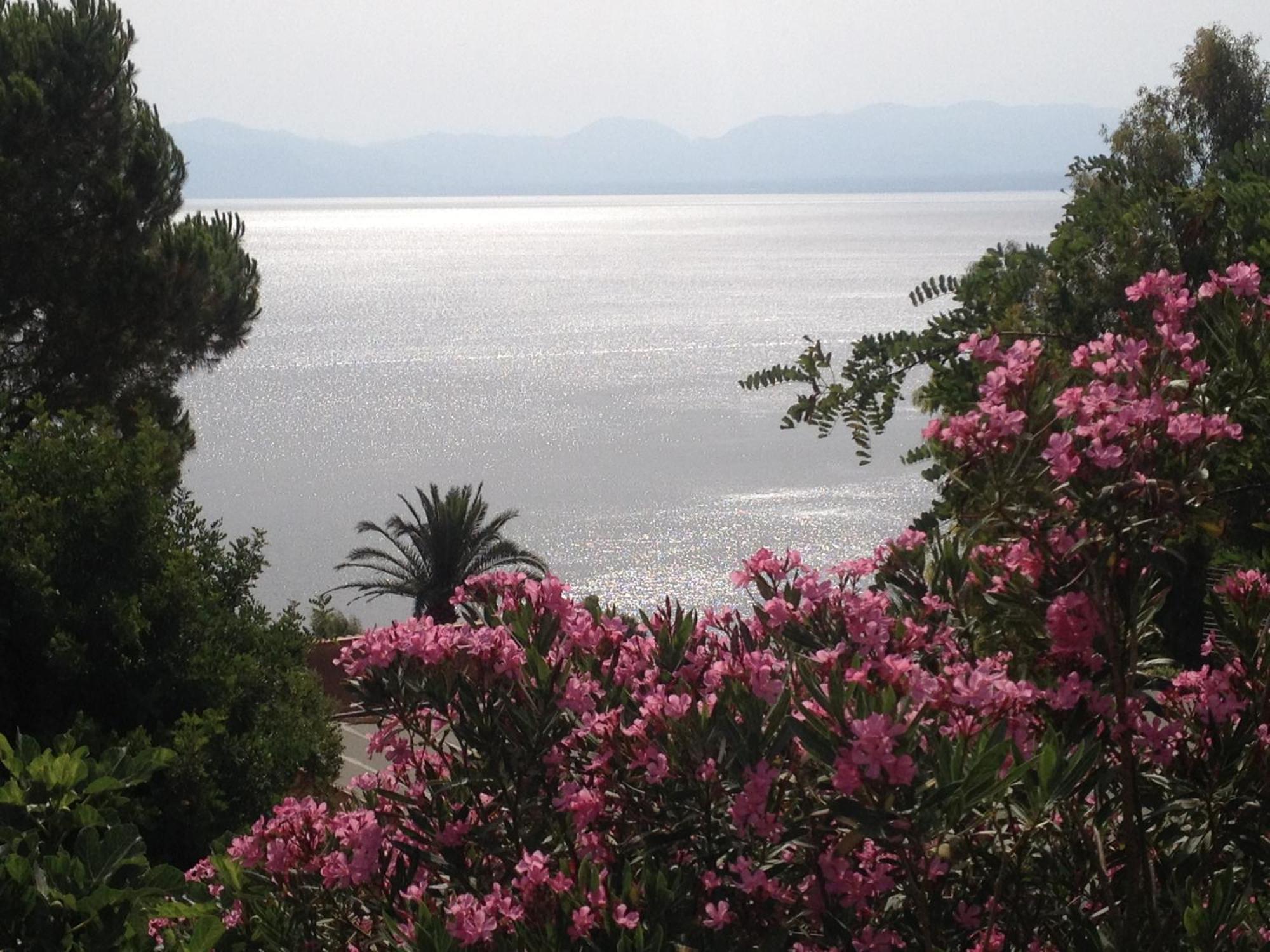 Villa Hibiscus Scopello Scopello  Exterior photo
